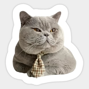 Fat British Shorthair Cat with tie Sticker